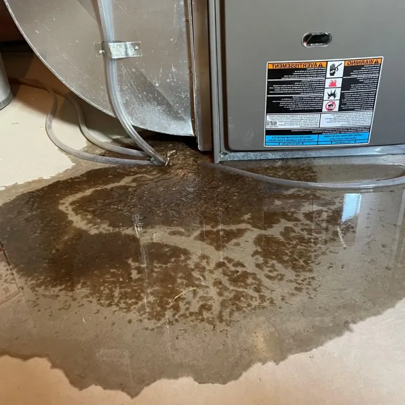 Pipe Burst and Leak Restoration in Crittenden County, AR