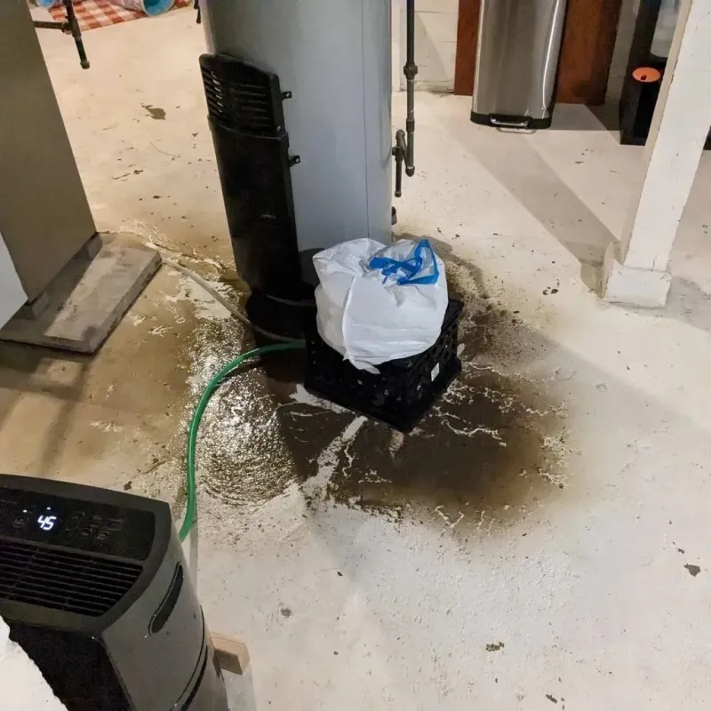 Sewage Backup Cleanup Service in Crittenden County, AR